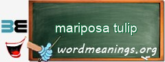 WordMeaning blackboard for mariposa tulip